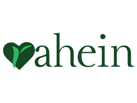 Rahein Inc Logo
